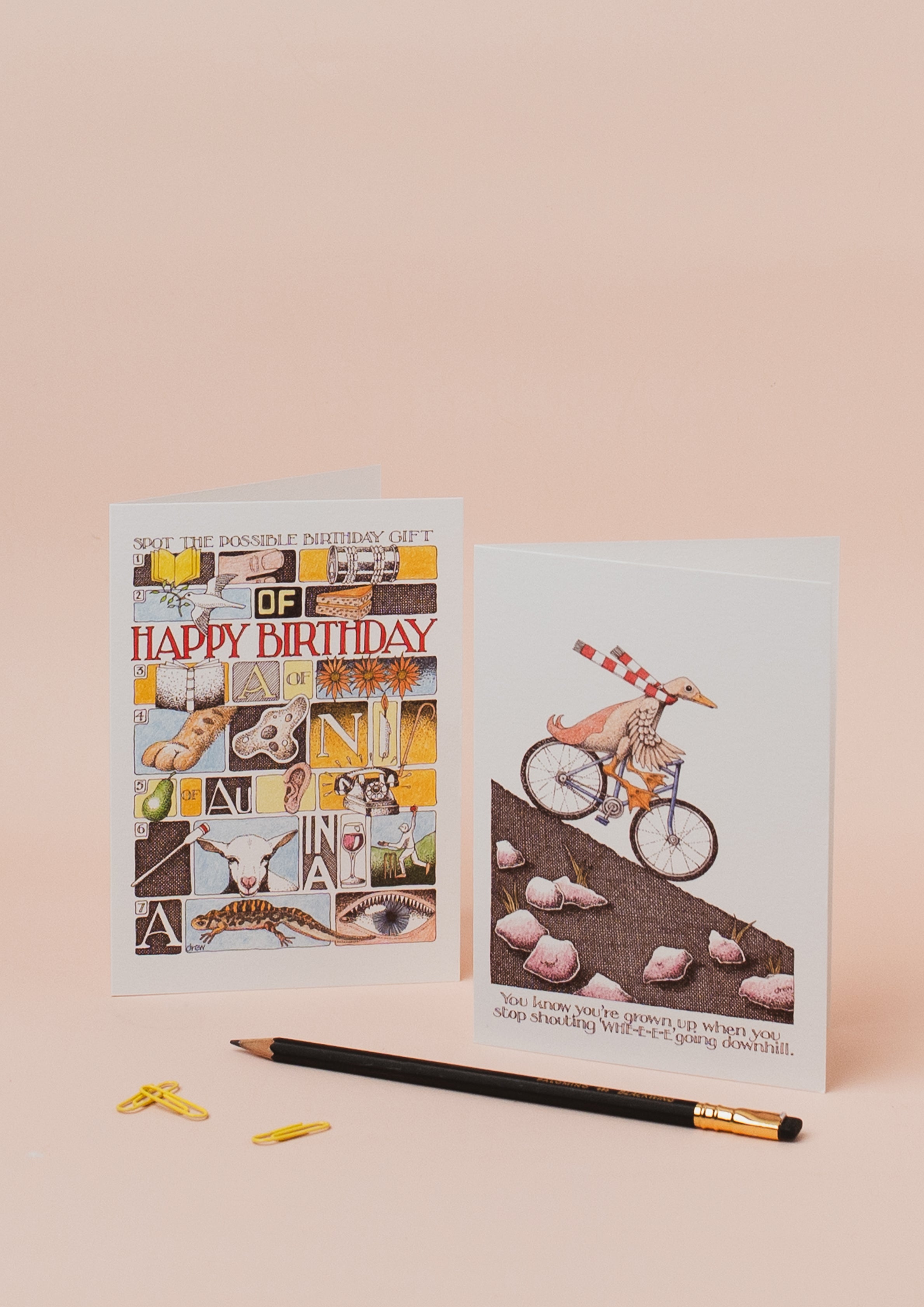 SPOT IT BIRTHDAY GIFT