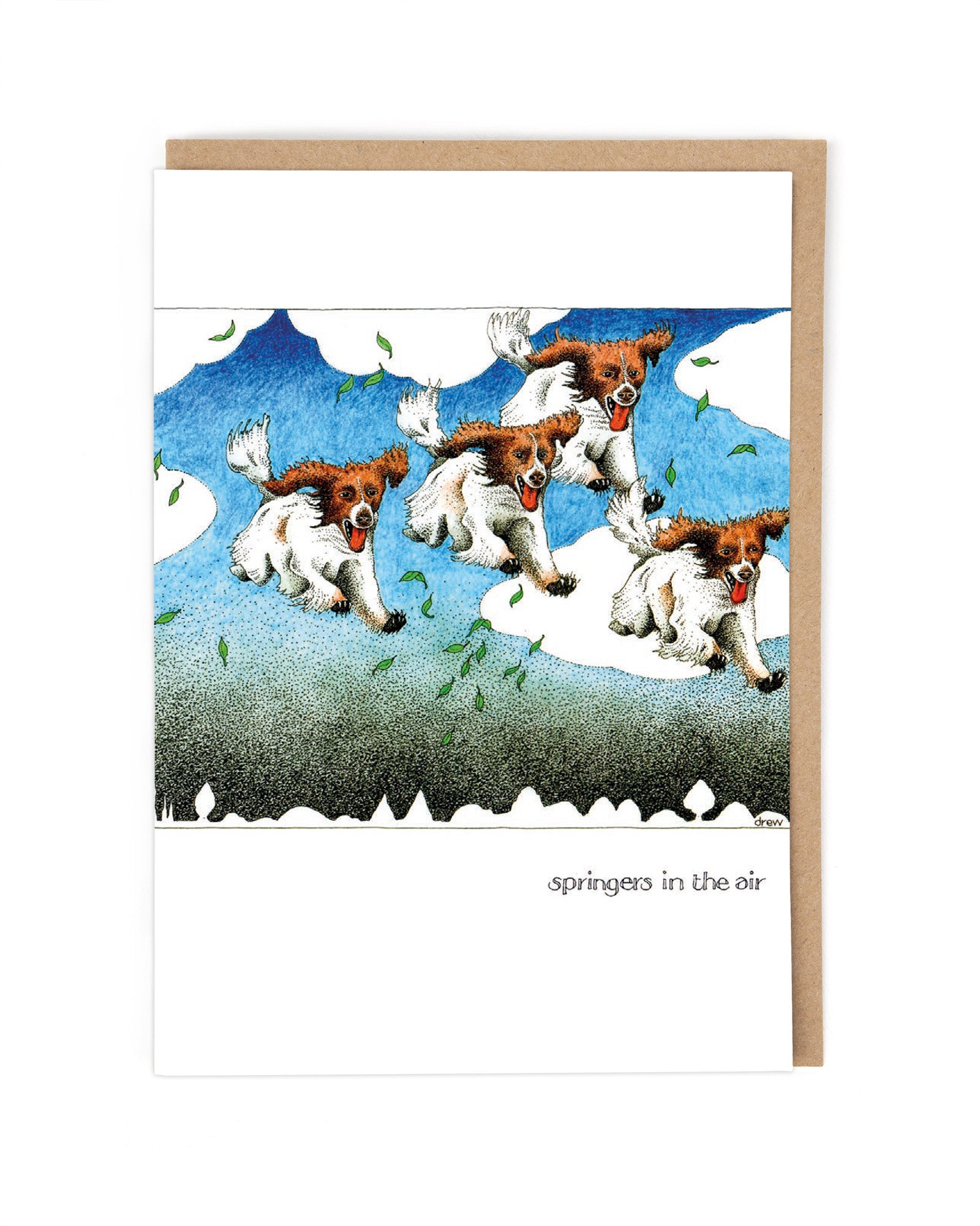 SPRINGERS IN THE AIR