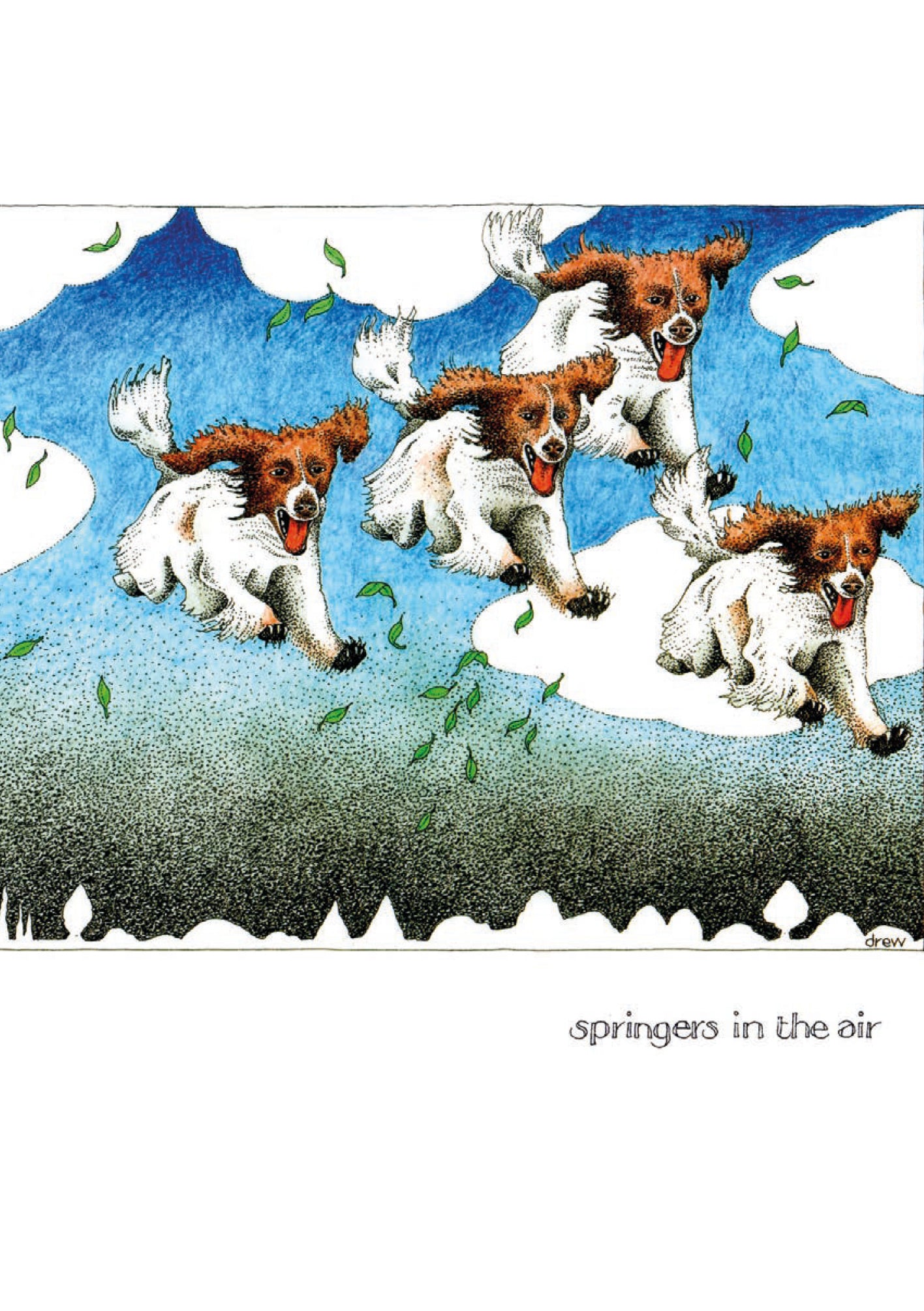 SPRINGERS IN THE AIR