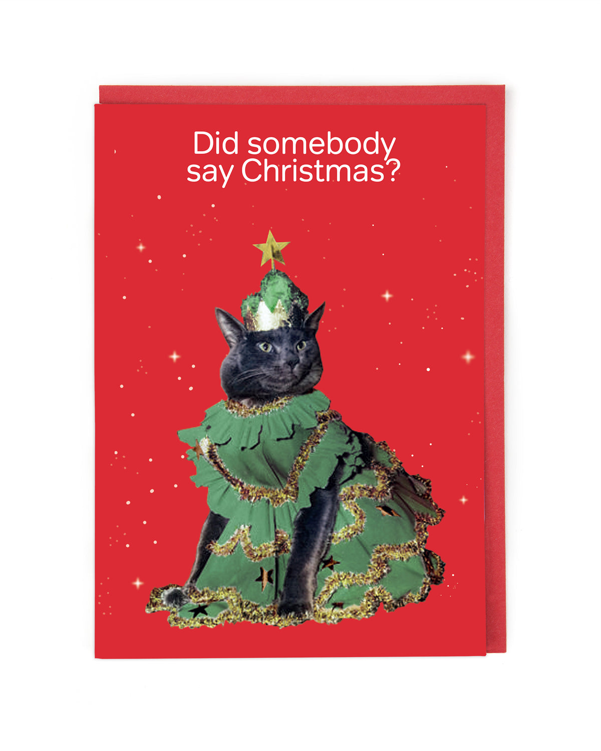 CHRISTMAS TREE CAT