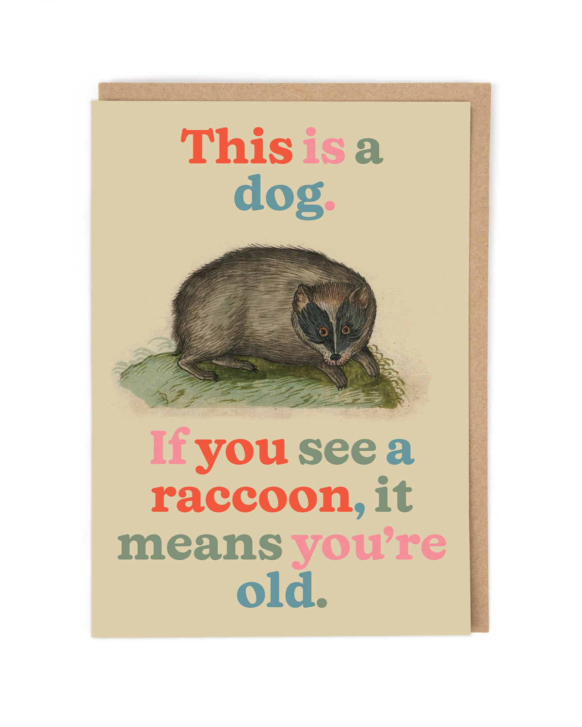 NOT A RACCOON
