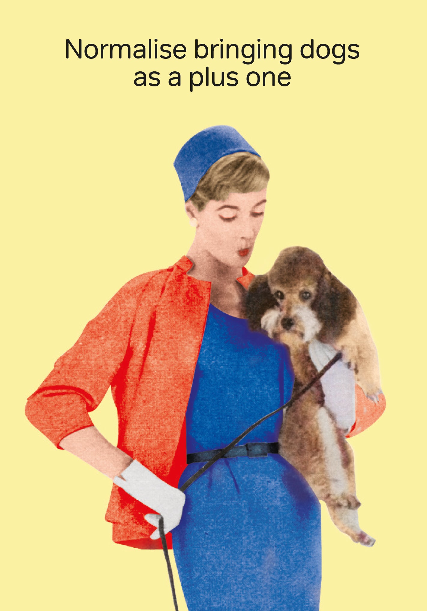 NORMALISE BRINGING DOGS