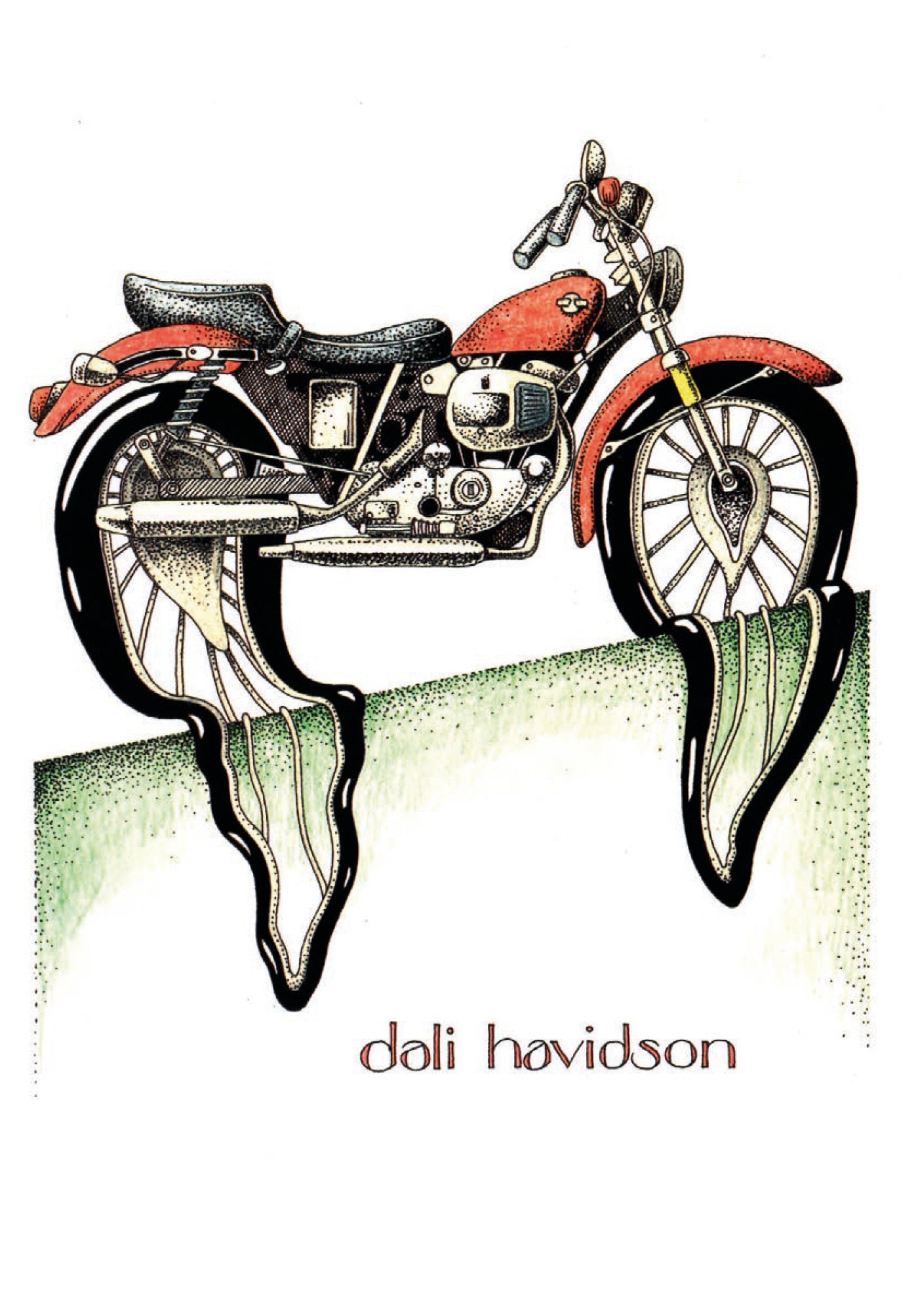  DALI HAVIDSON 