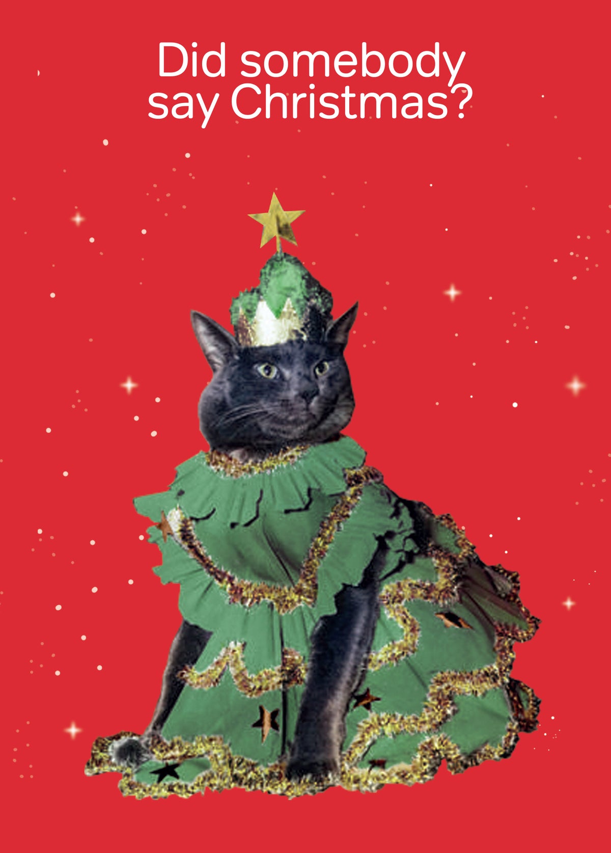 CHRISTMAS TREE CAT